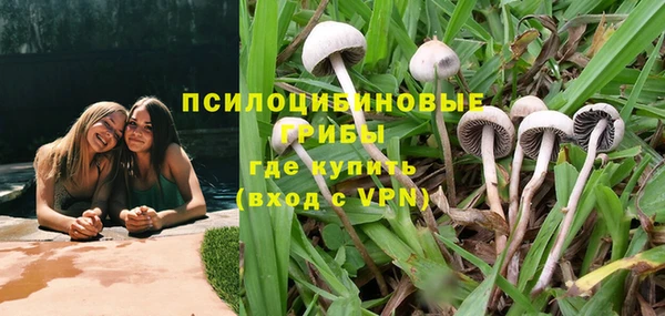 стафф Балахна