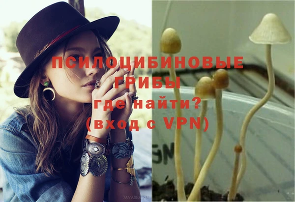 молекула духа Балабаново