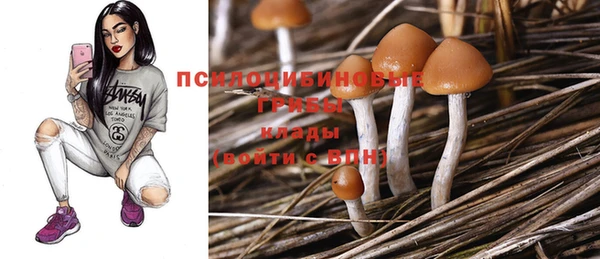 стафф Балахна